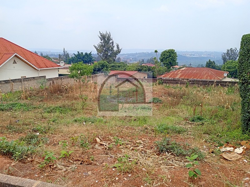 1.plot-view