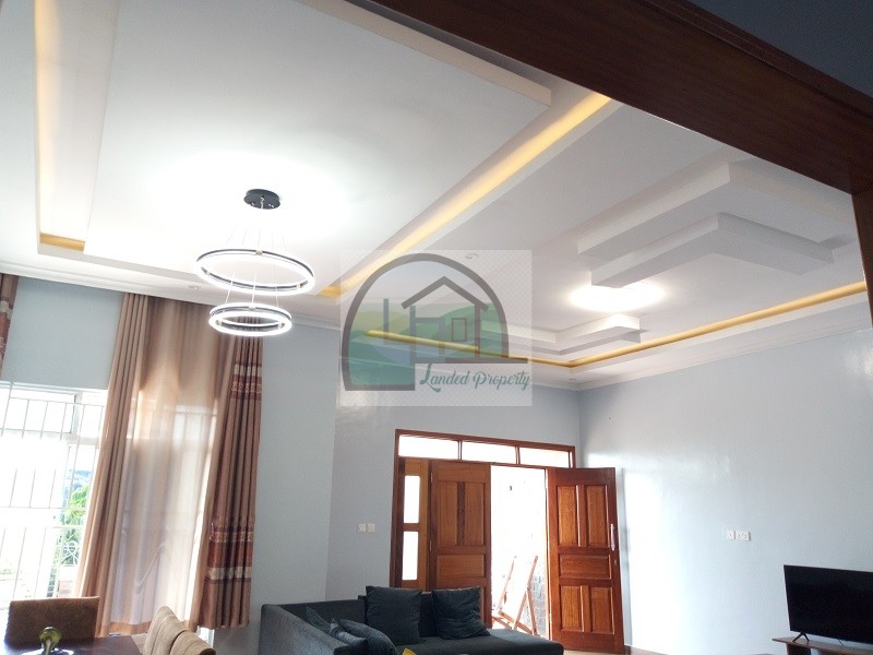 13.-Ceiling-view