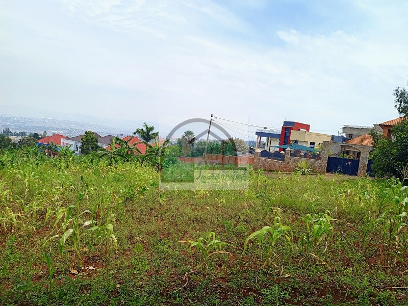 1plot-view