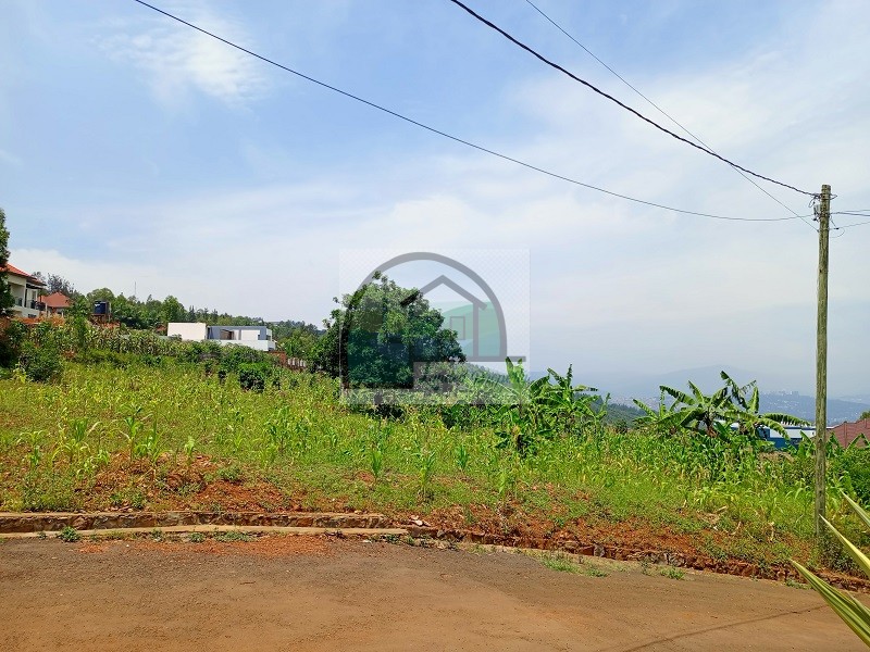 2other-view-1