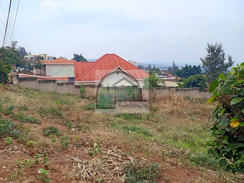 2plot-neighbors