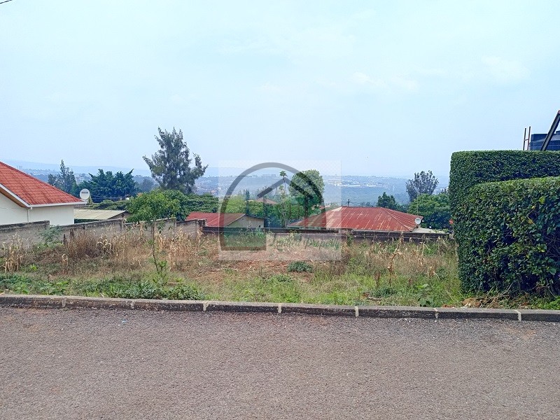 3.Road-view