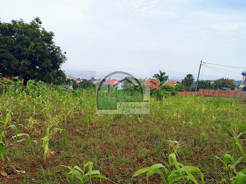 4panoramic-view