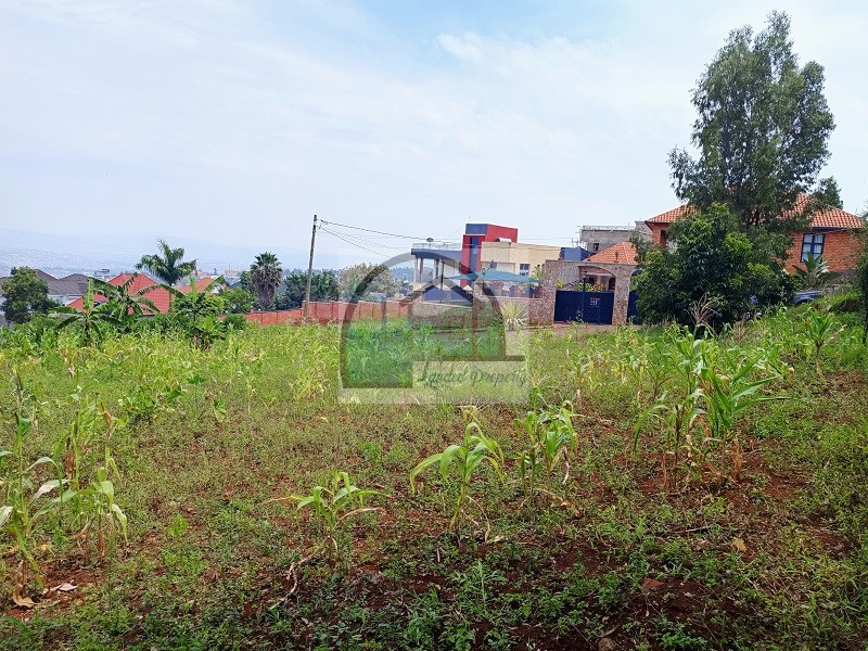 5plot-neighbors