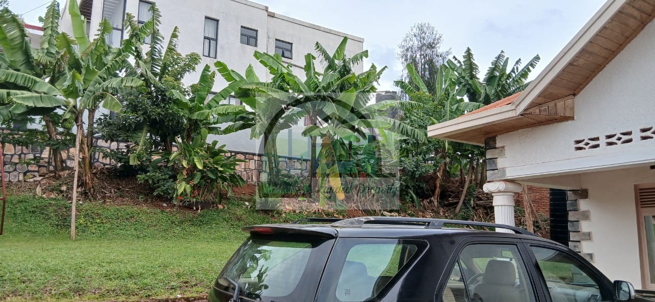 WhatsApp-Image-2026-02-17-at-21.33.29-1