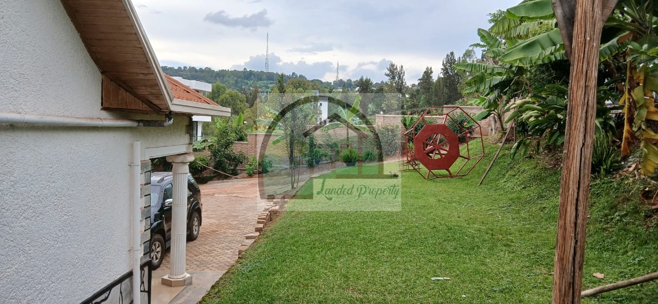 WhatsApp-Image-2026-02-17-at-21.33.29