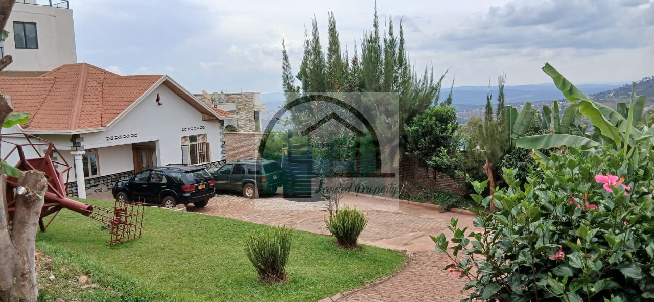 WhatsApp-Image-2026-02-17-at-21.33.31-1