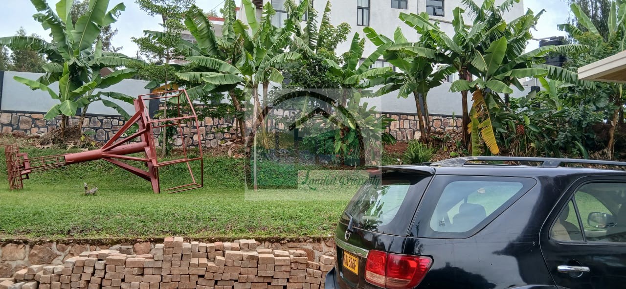 WhatsApp-Image-2026-02-17-at-21.33.33