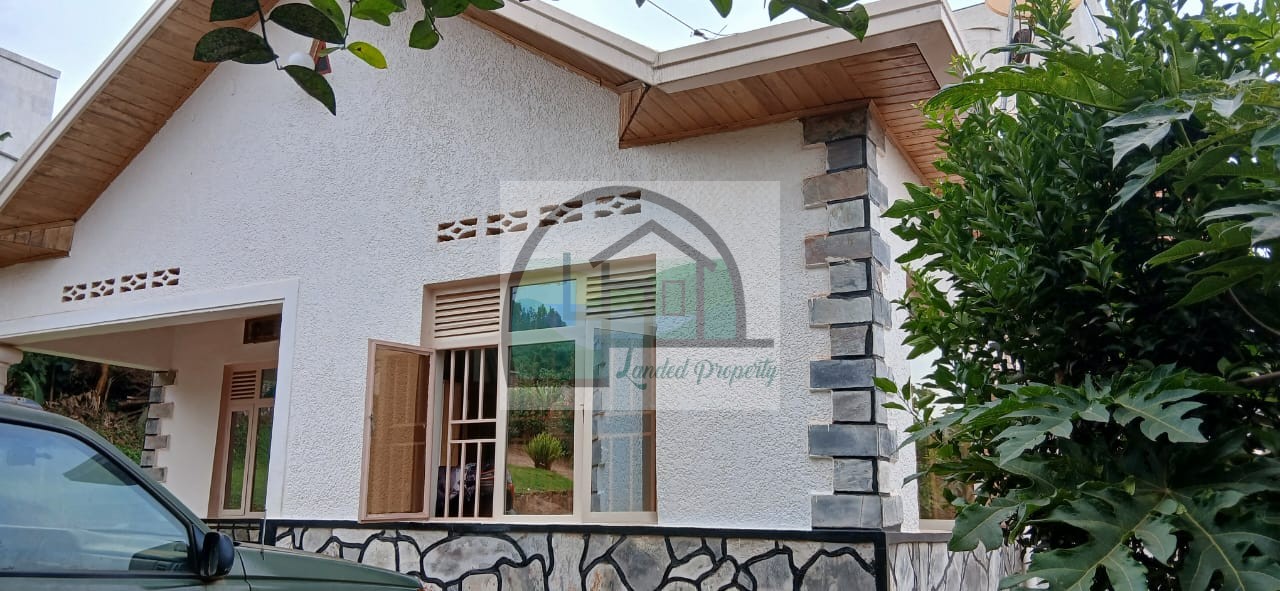 WhatsApp-Image-2026-02-17-at-21.33.34-1