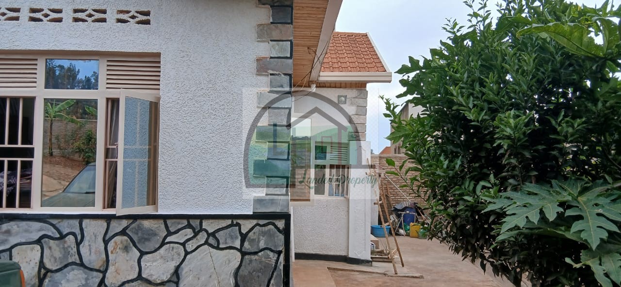 WhatsApp-Image-2026-02-17-at-21.33.36-1