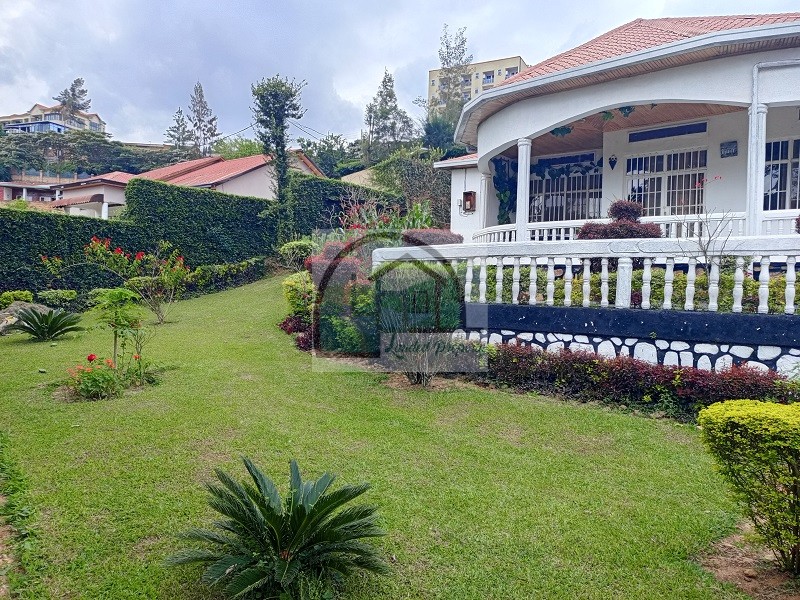 3garden