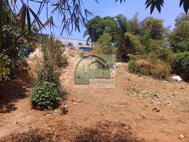 1plot-view-1