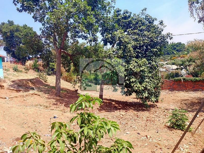 2other-view