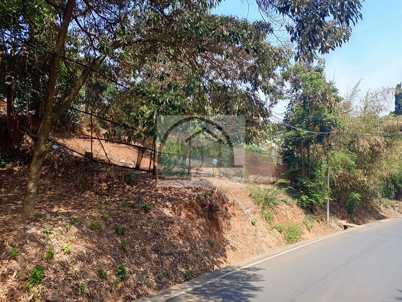 3road-view