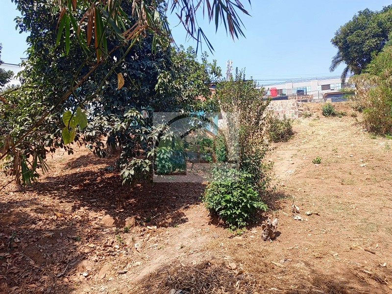 4other-plot-view