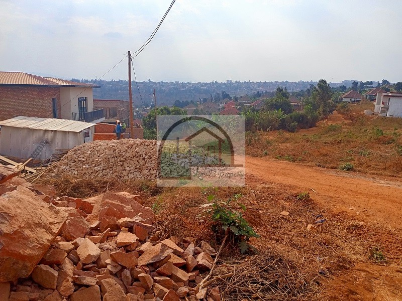 4panoramic-view