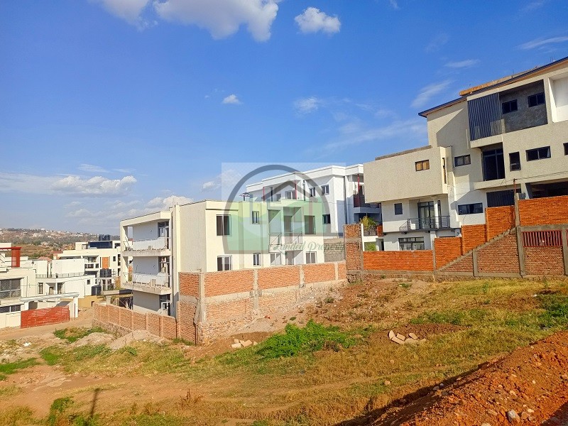 1plot-view